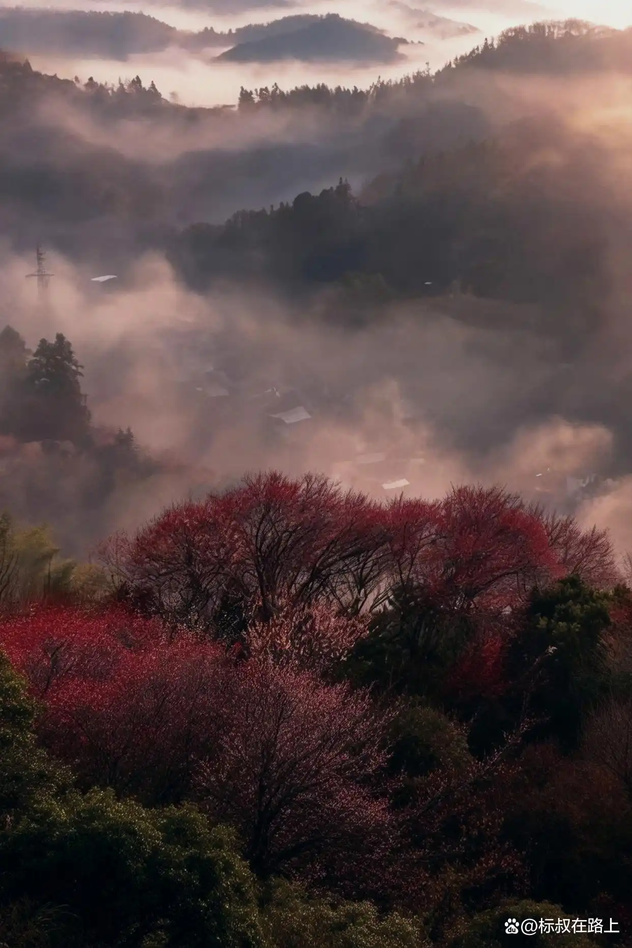接下来的徽州,美成了陶渊明笔下《桃花源记》的鲜活画卷!
