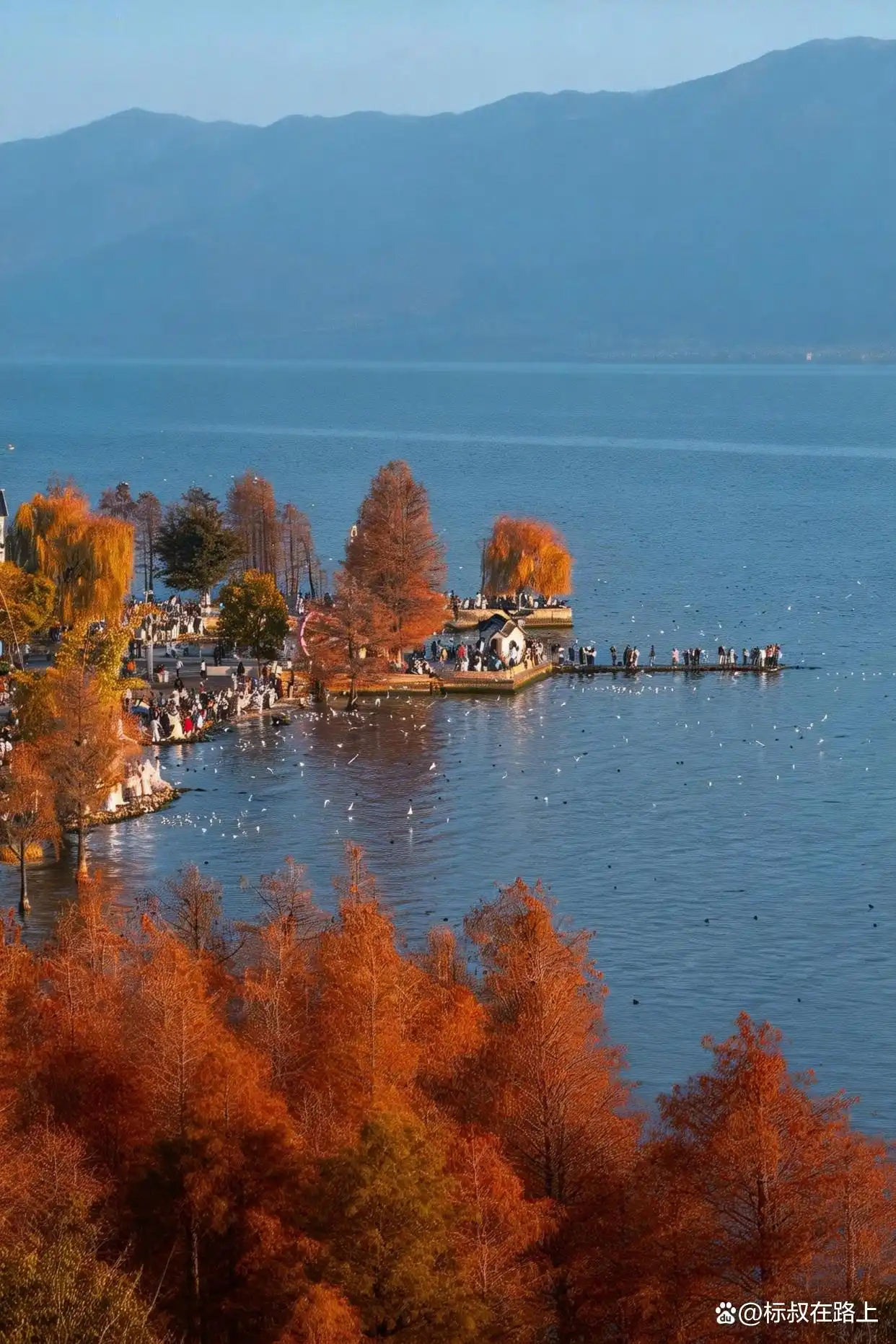 这个冬季,我们该去浪漫的大理洱海见一面了!️