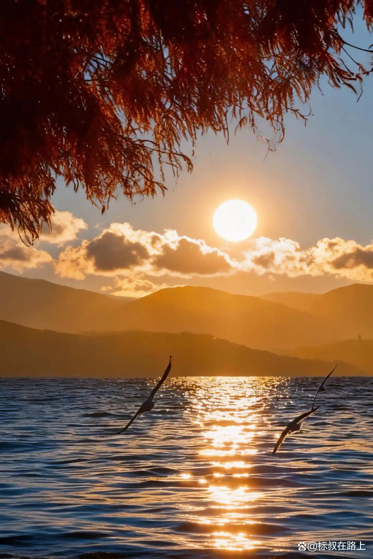 这个冬季,我们该去浪漫的大理洱海见一面了!️