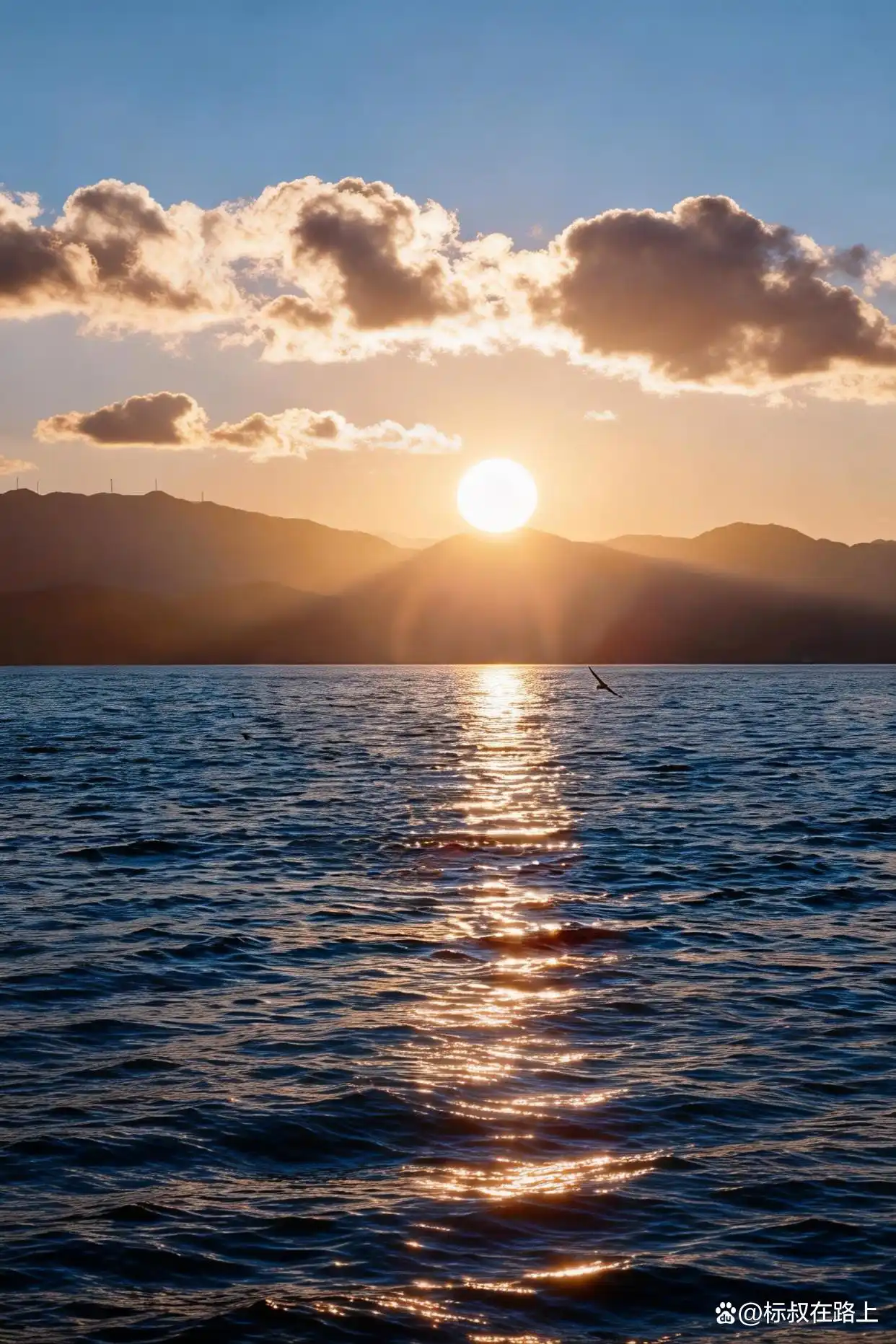 这个冬季,我们该去浪漫的大理洱海见一面了!️