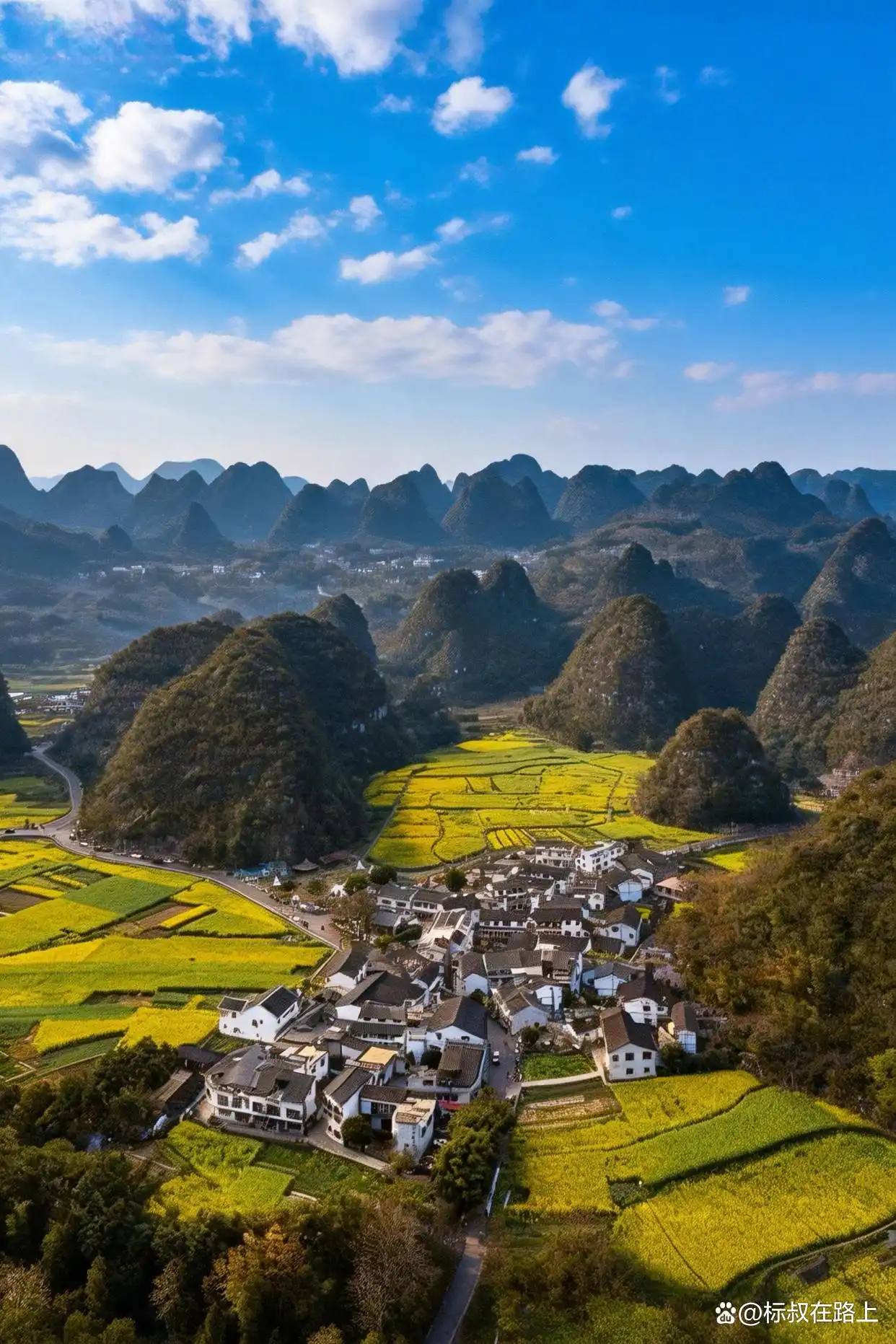 贵州zui早的春天被我找到了！