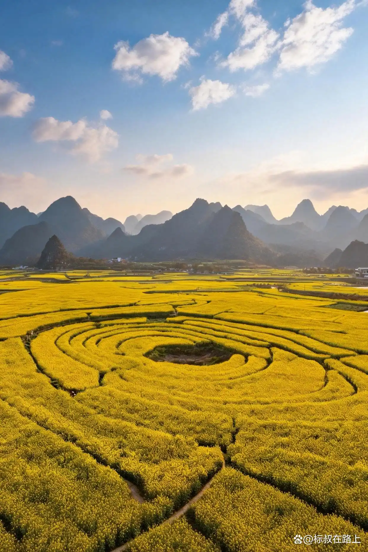 贵州zui早的春天被我找到了！