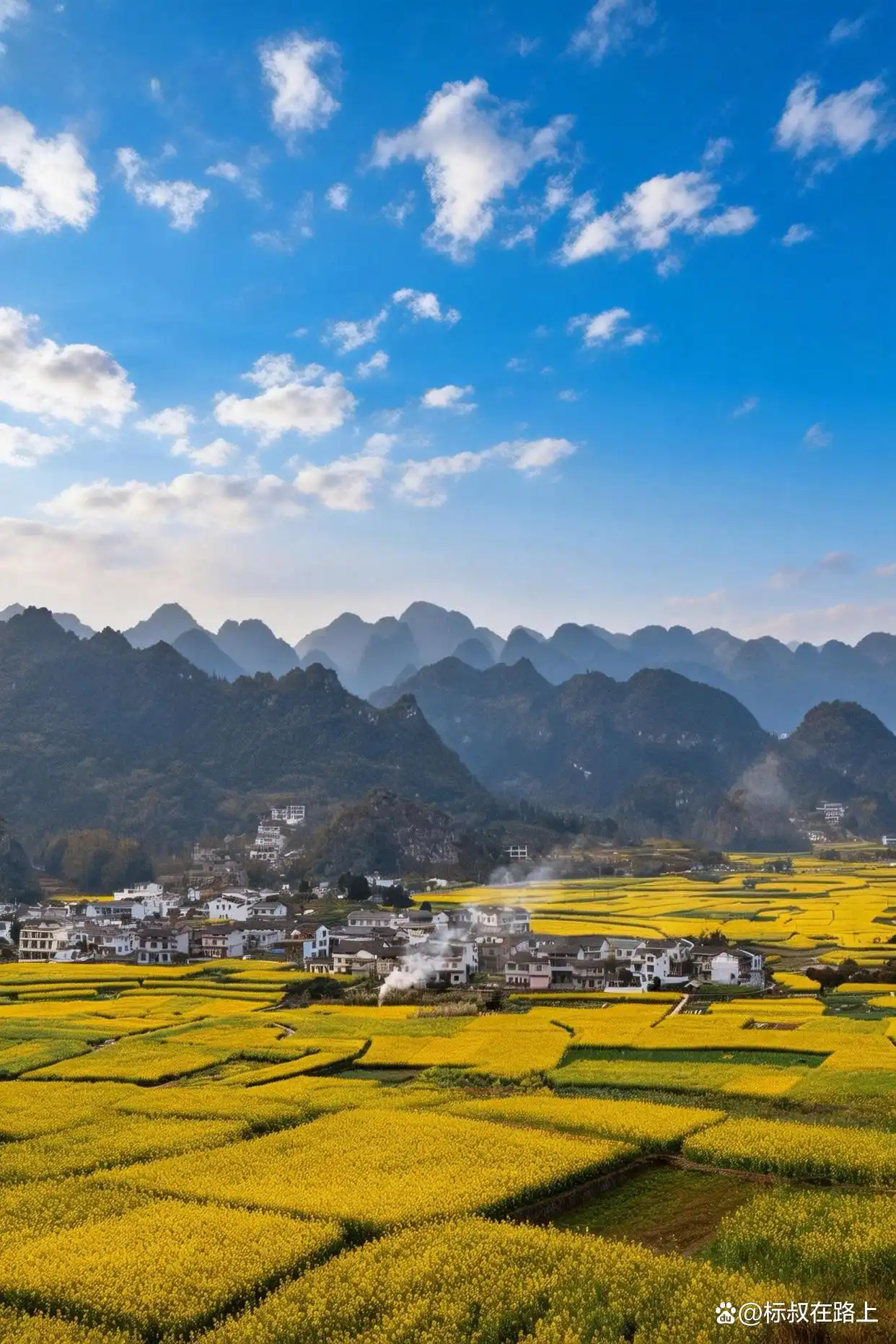 贵州zui早的春天被我找到了！