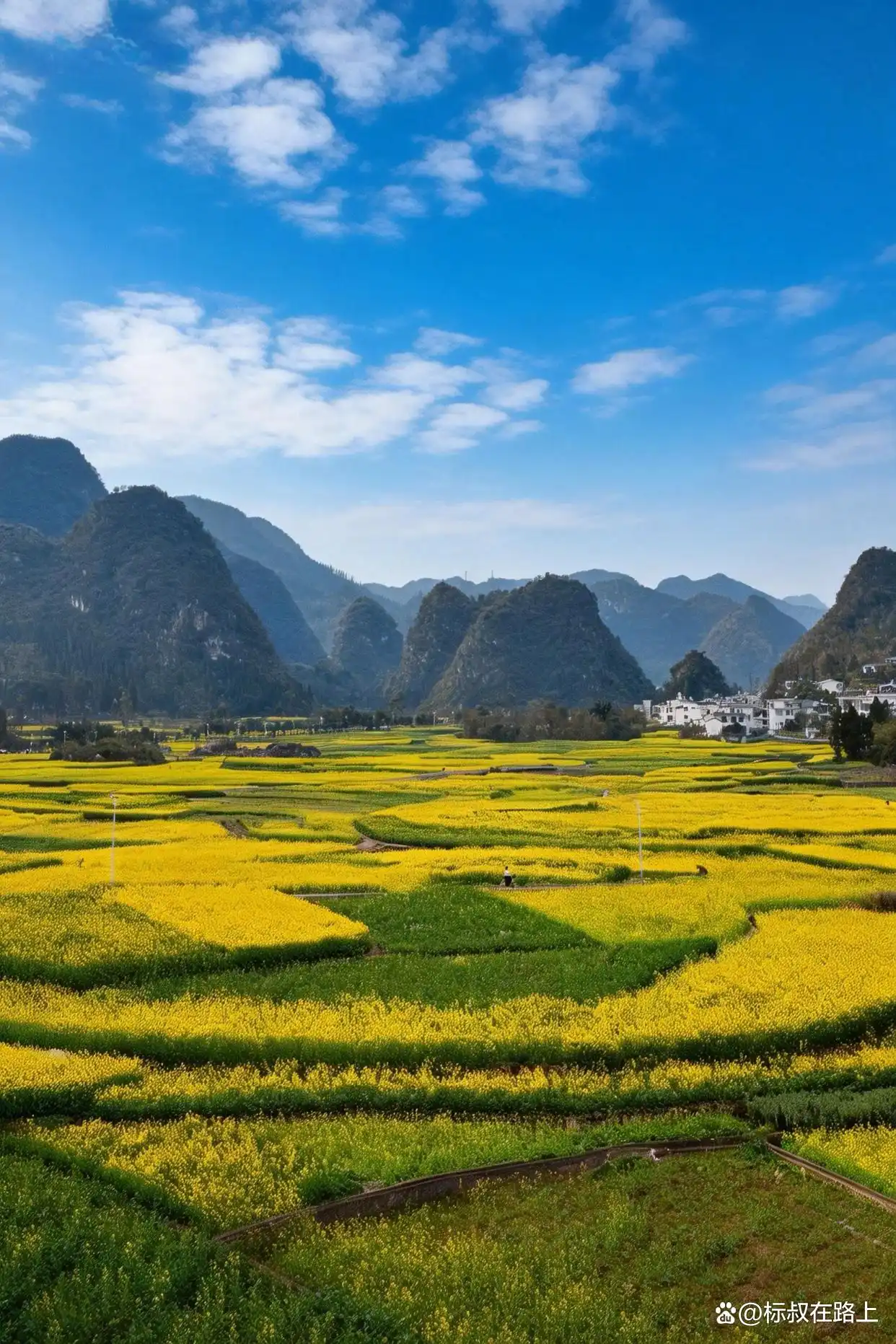 贵州zui早的春天被我找到了！