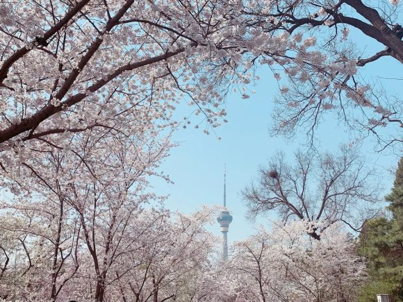 龙年春节北京推出10条旅游线路