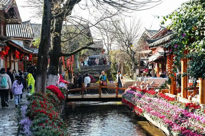 丽江古城马年新春喜迎“开门红” 单日接待游客量创历史新高