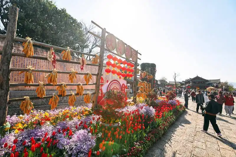 丽江古城马年新春喜迎“开门红” 单日接待游客量创历史新高