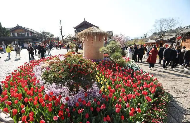 丽江古城马年新春喜迎“开门红” 单日接待游客量创历史新高