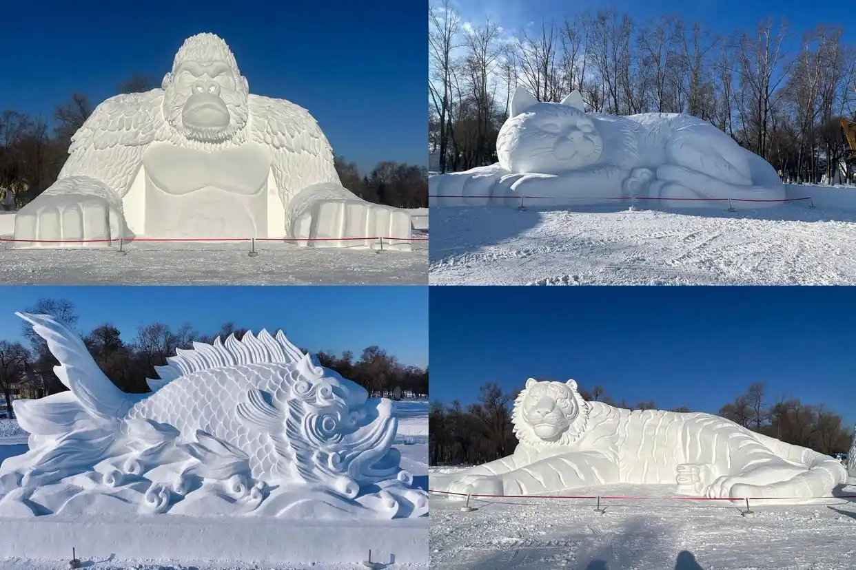 凭冰雪大世界改签/退票码逛太阳岛雪博会门票有特惠！