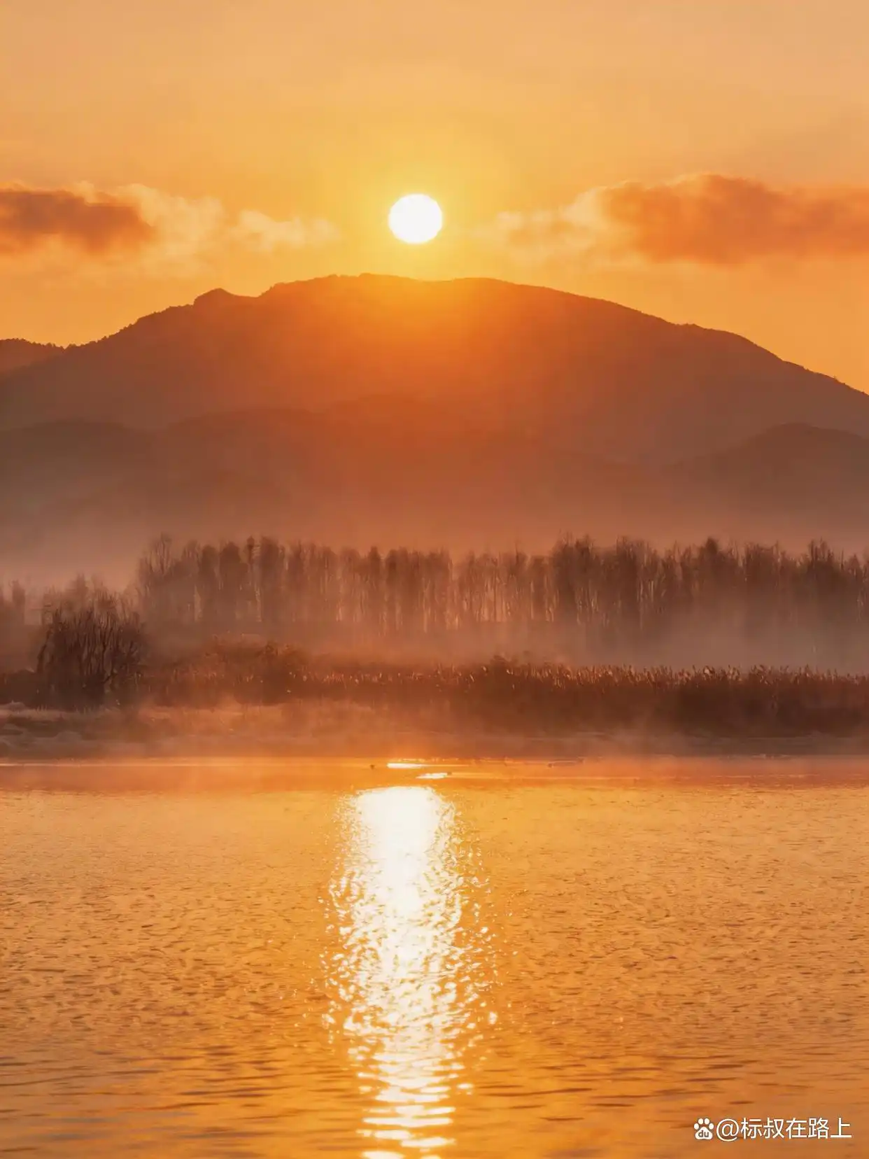 晨雾和海鸥，终于等到了仙境一样的泸沽湖！