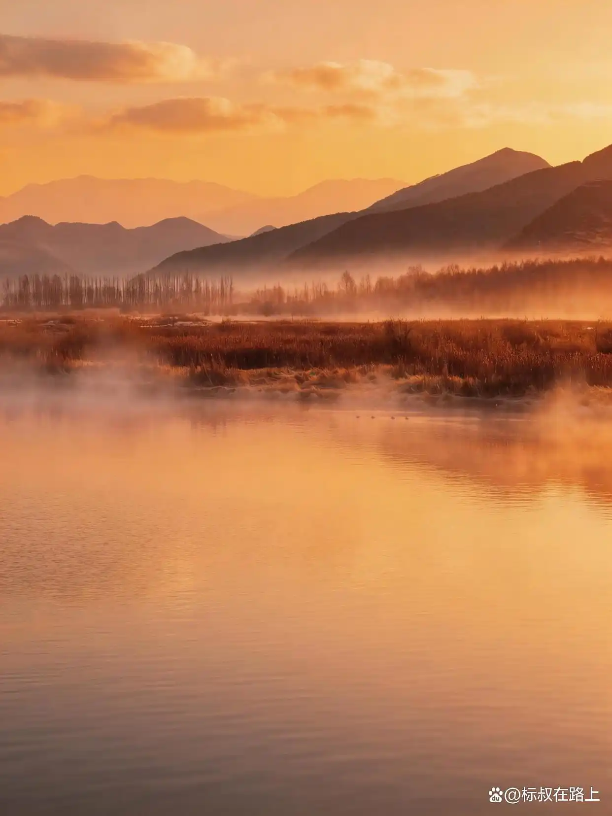 晨雾和海鸥，终于等到了仙境一样的泸沽湖！