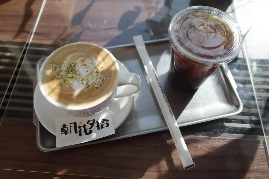 梧桐影里读上海：来一场文艺深度漫游