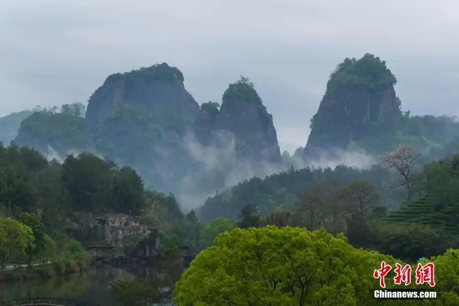 何以中国｜云雾缭绕间遇见水墨丹青武夷山