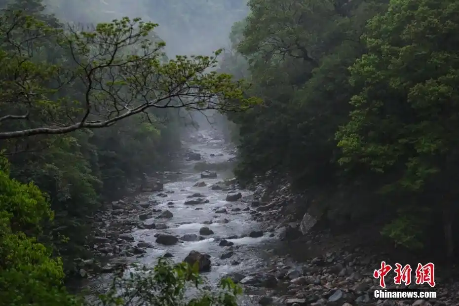 何以中国｜云雾缭绕间遇见水墨丹青武夷山