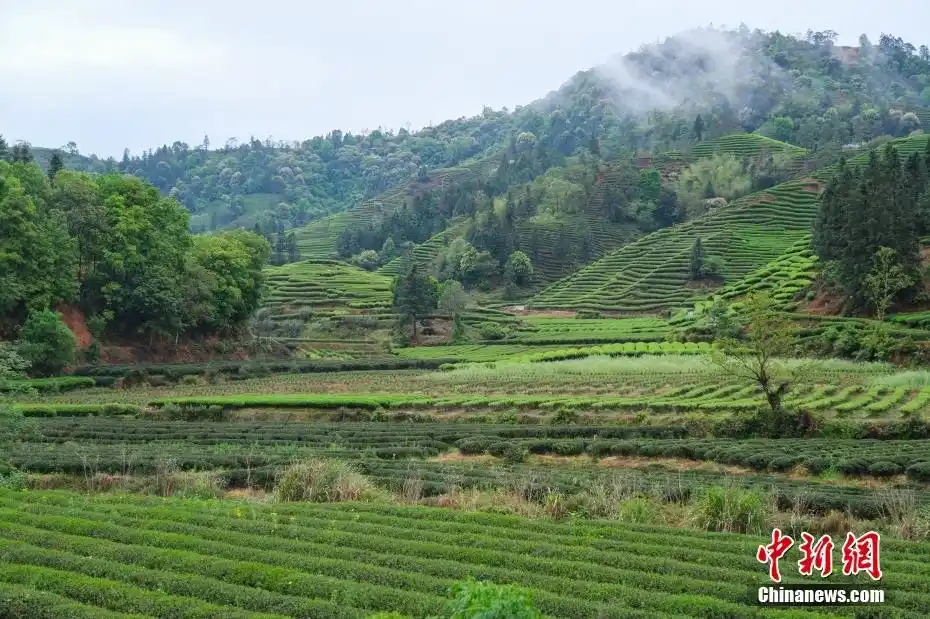 何以中国｜云雾缭绕间遇见水墨丹青武夷山