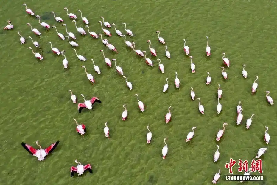 超长假期+免签红利 这个春节，出境游火了