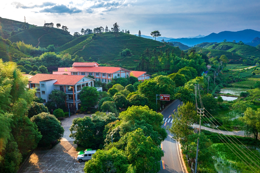 春来武夷，马上有福！武夷山推出系列文旅活动邀八方游客共度茶味中国年