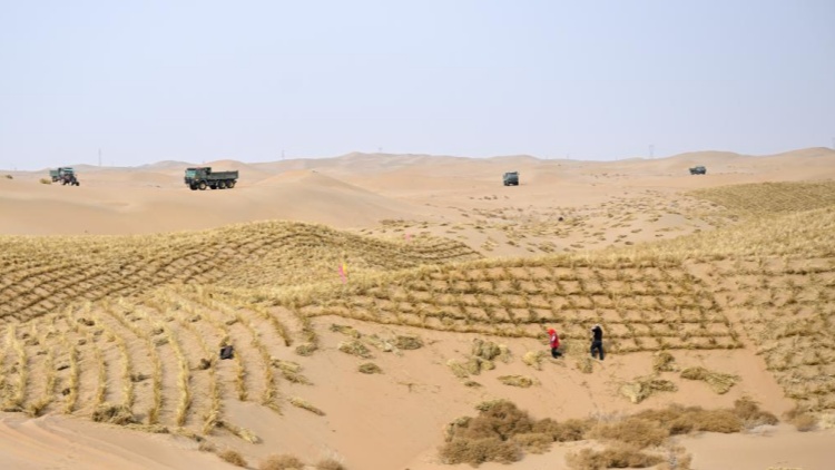 广州多个客运站开售春运汽车票