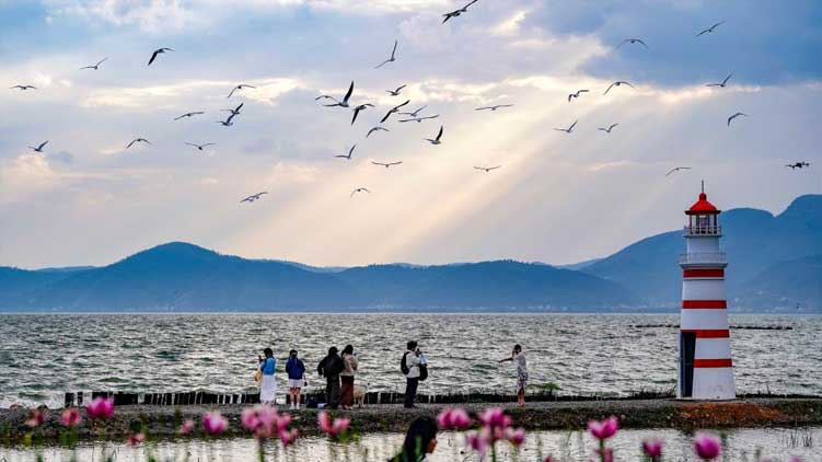 广州多个客运站开售春运汽车票