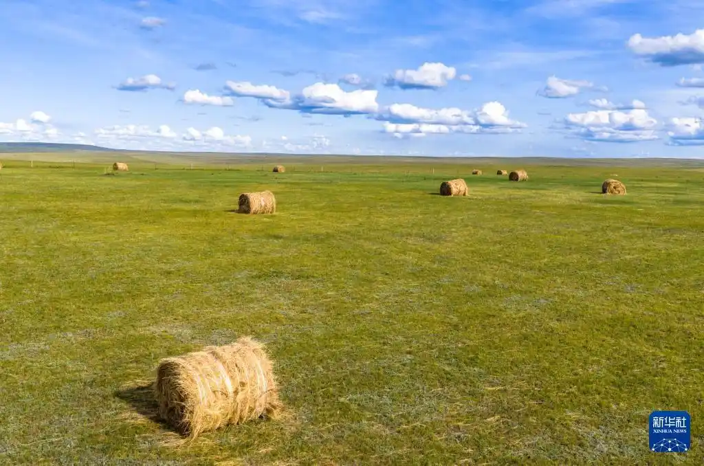 美丽中国丨呼伦贝尔大草原秋景如画