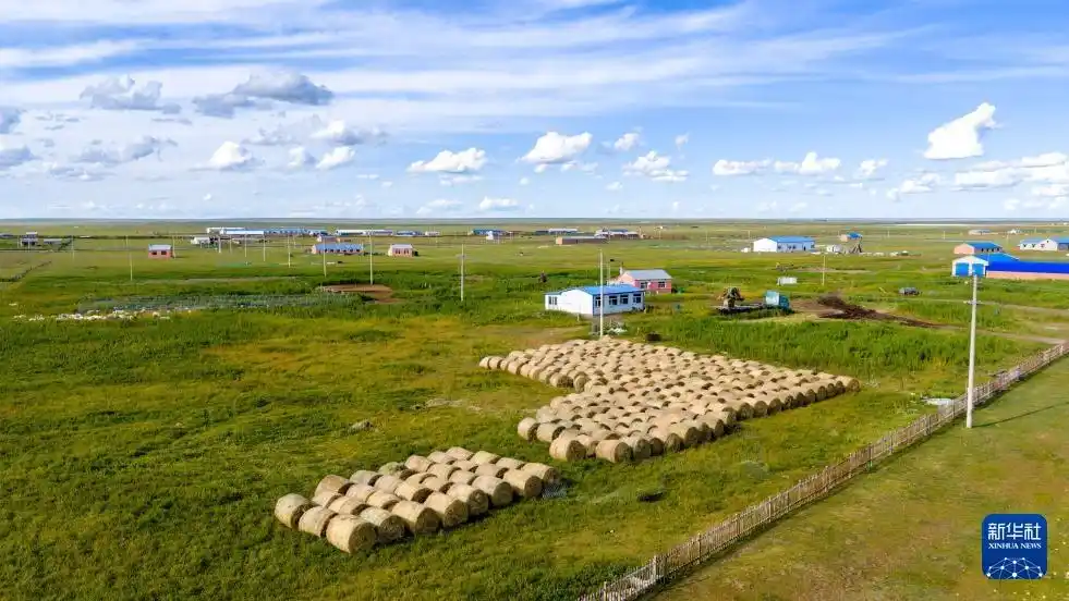 美丽中国丨呼伦贝尔大草原秋景如画