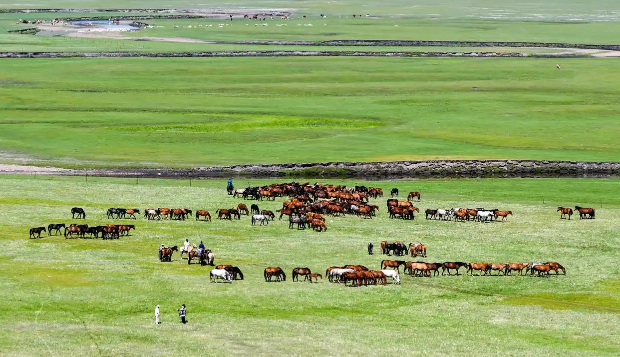第二届内蒙古呼伦贝尔大草原文化旅游节开幕