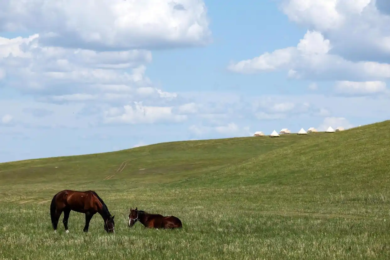 第二届内蒙古呼伦贝尔大草原文化旅游节开幕