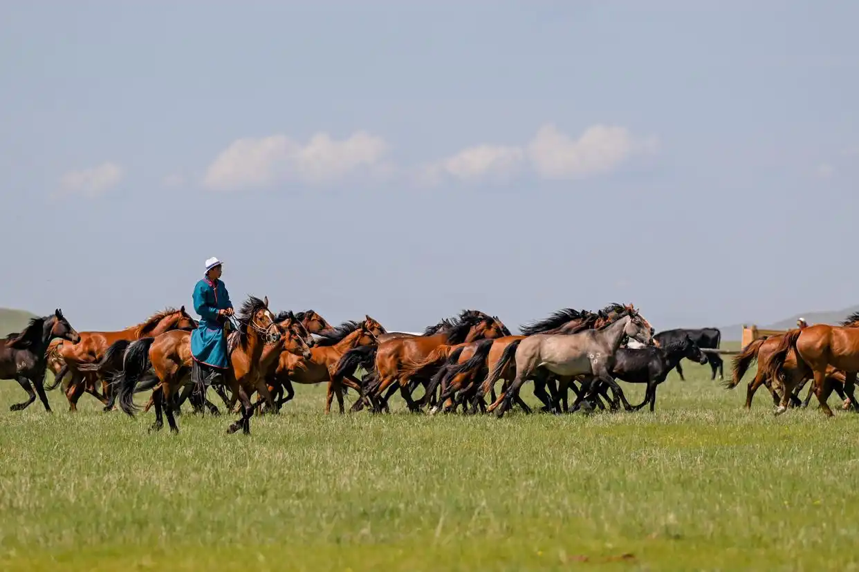 第二届内蒙古呼伦贝尔大草原文化旅游节开幕