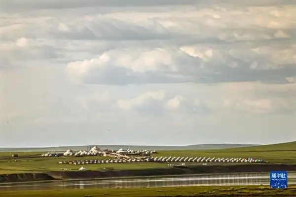 呼伦贝尔大草原夏日即景