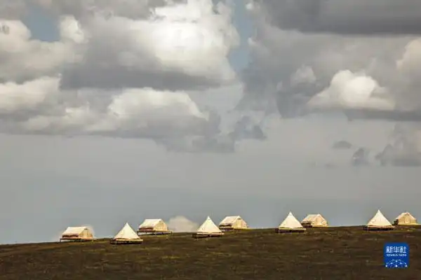 呼伦贝尔大草原夏日即景
