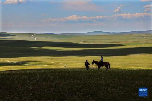 呼伦贝尔大草原夏日即景
