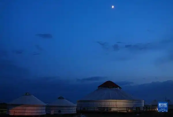 呼伦贝尔大草原夏日即景