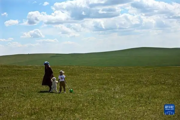 呼伦贝尔大草原夏日即景