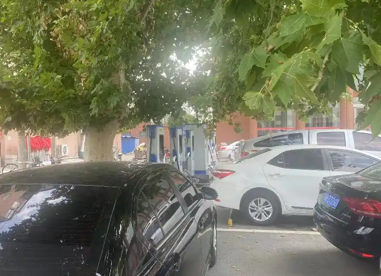 这个春节,租车生意“爆”了