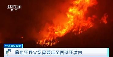 葡萄牙野火肆虐，多地旅游景点临时关闭