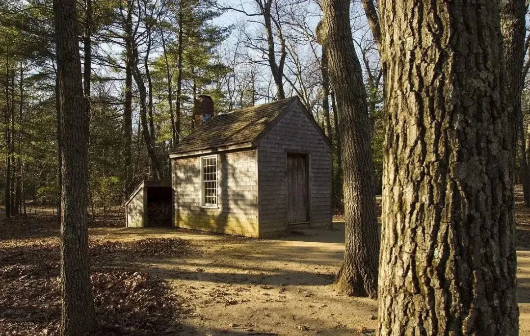 世界上最孤独的网红景点：寻孤独之名，赴社交盛宴