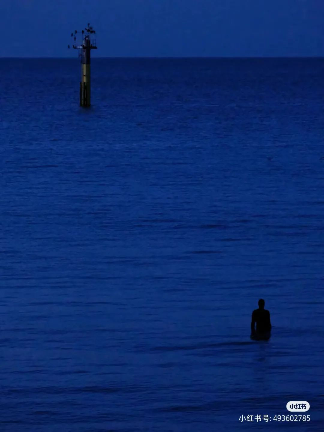 世界上最孤独的网红景点：寻孤独之名，赴社交盛宴