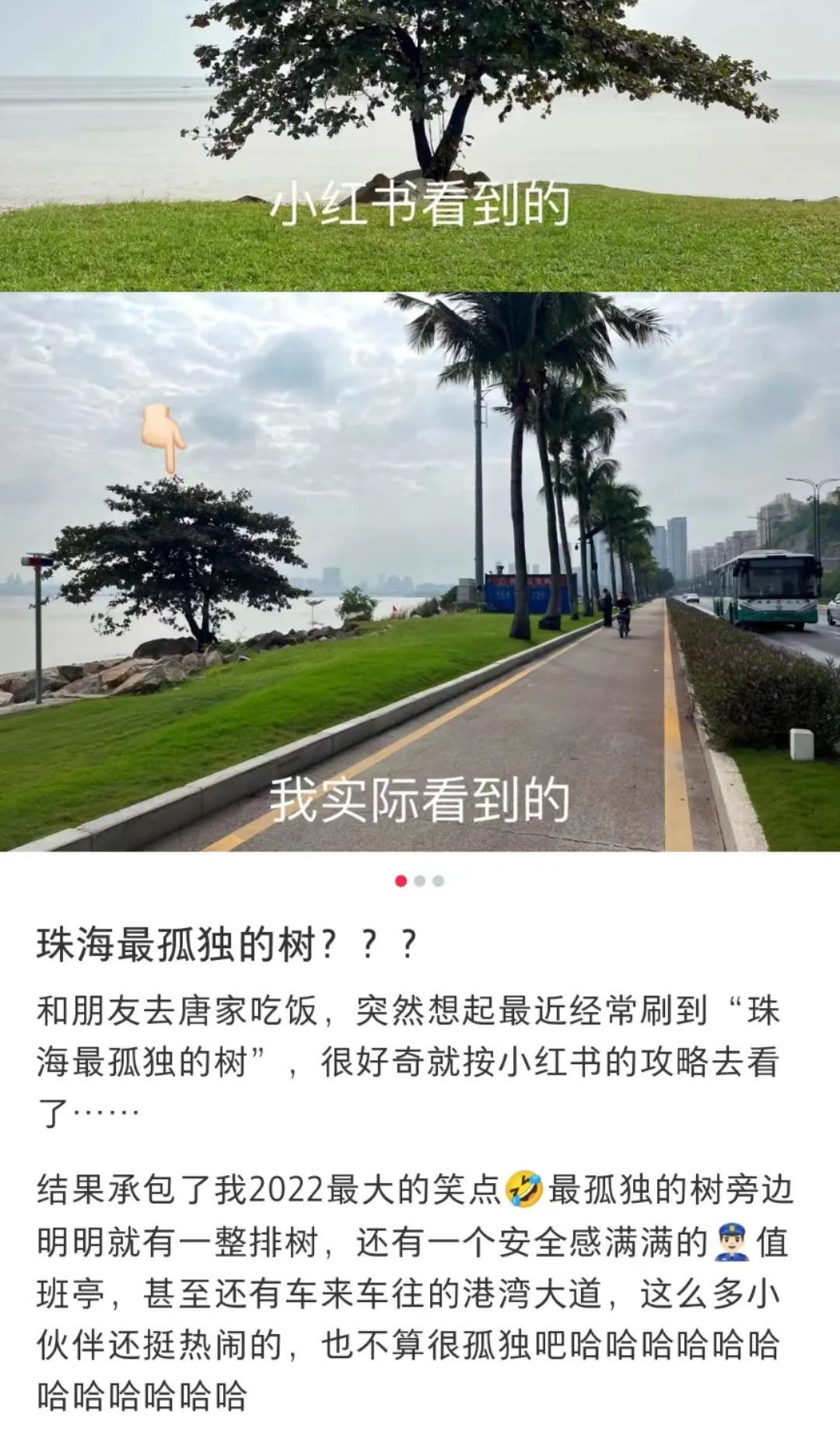 世界上最孤独的网红景点：寻孤独之名，赴社交盛宴