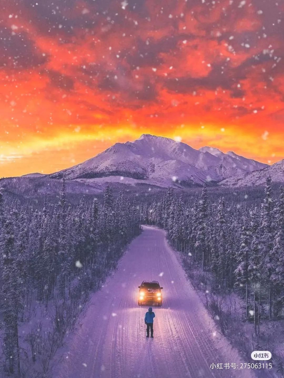 世界上最孤独的网红景点：寻孤独之名，赴社交盛宴