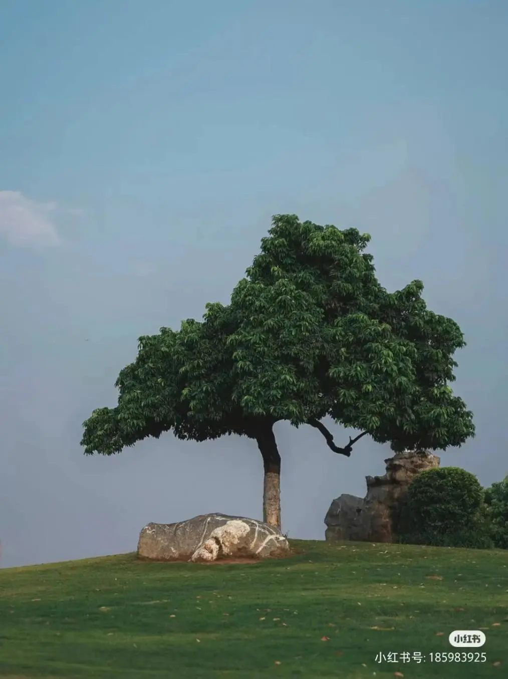 世界上最孤独的网红景点：寻孤独之名，赴社交盛宴