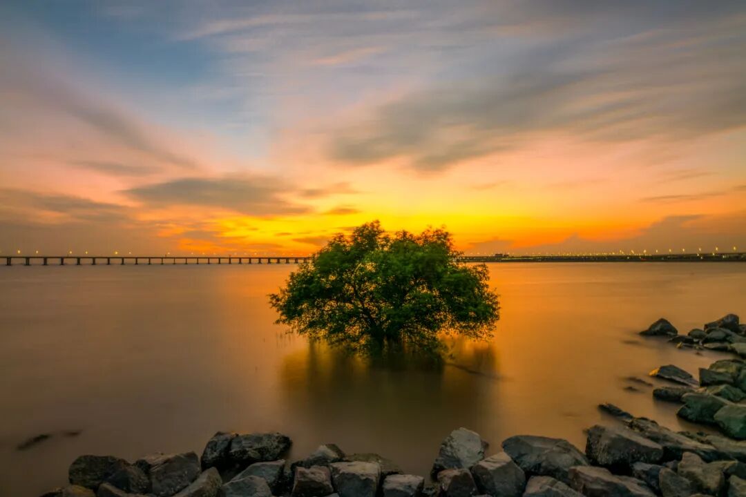 深圳好玩又免费的景点推荐，深圳必去的6个免费景点，地铁直达！