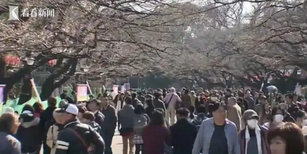 国庆出游日本热度第一？机票价格一夜大跌！有人已开始退团