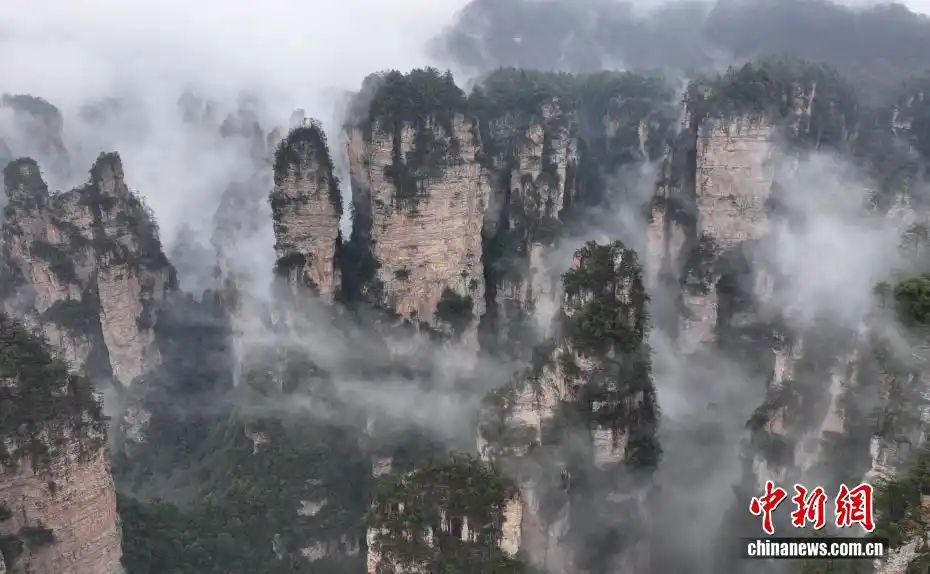 湖南张家界现云海景观 峰林若隐若现如仙境