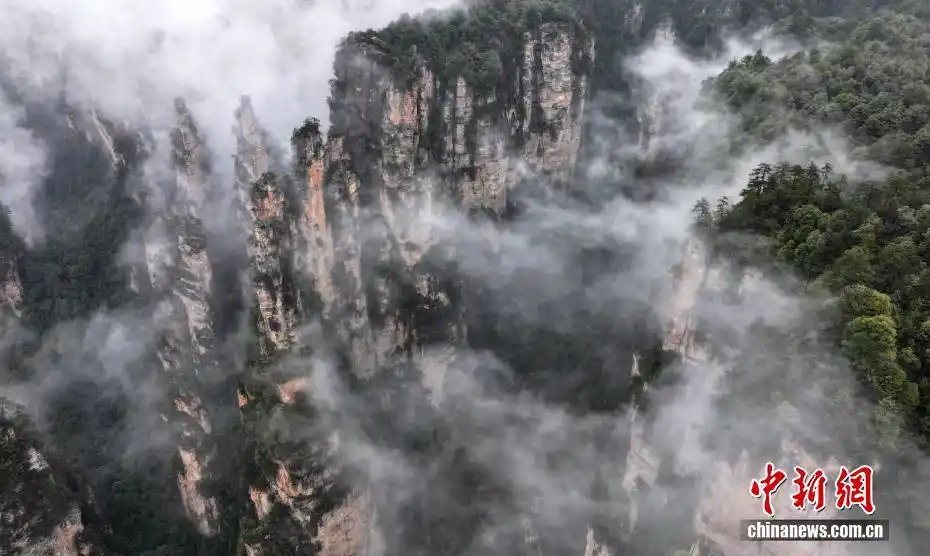 湖南张家界现云海景观 峰林若隐若现如仙境