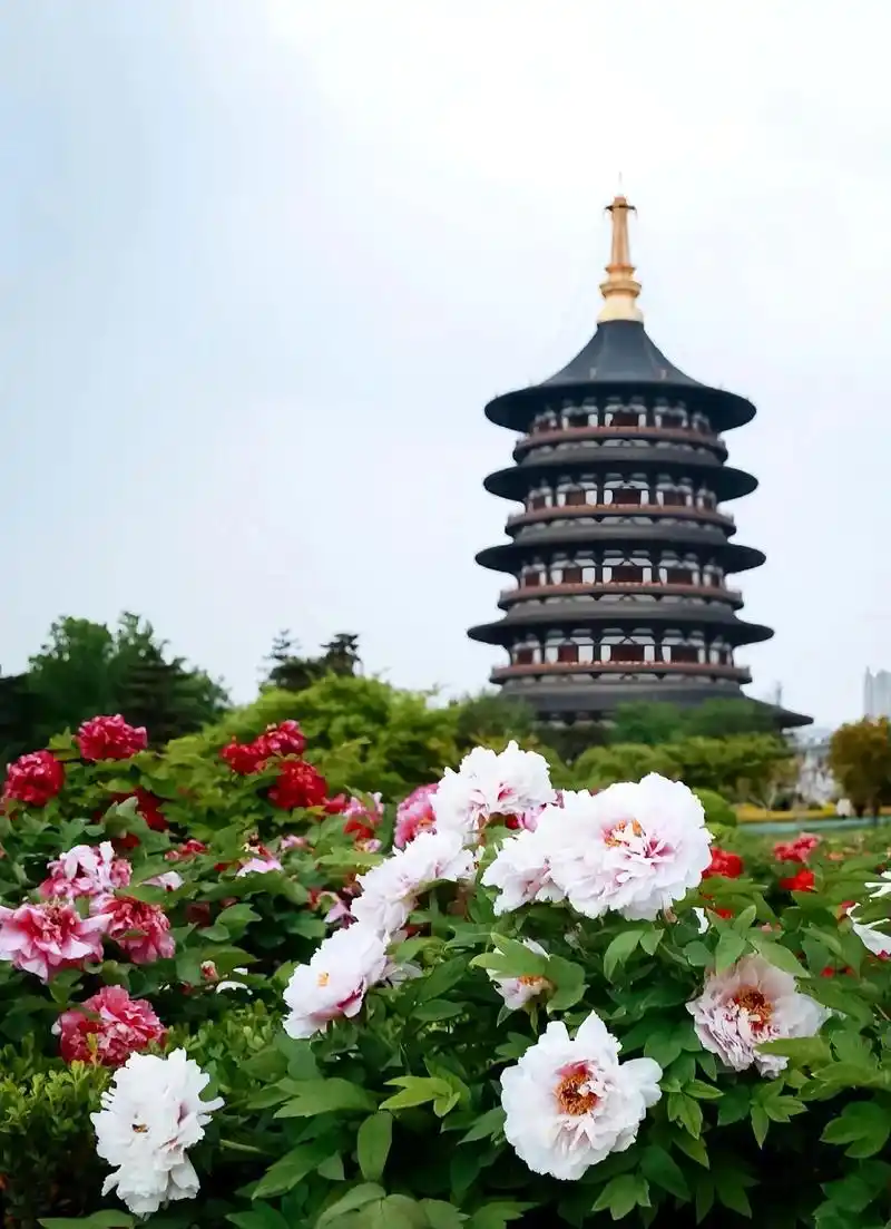 洛阳适合春天打卡的7个景点推荐→