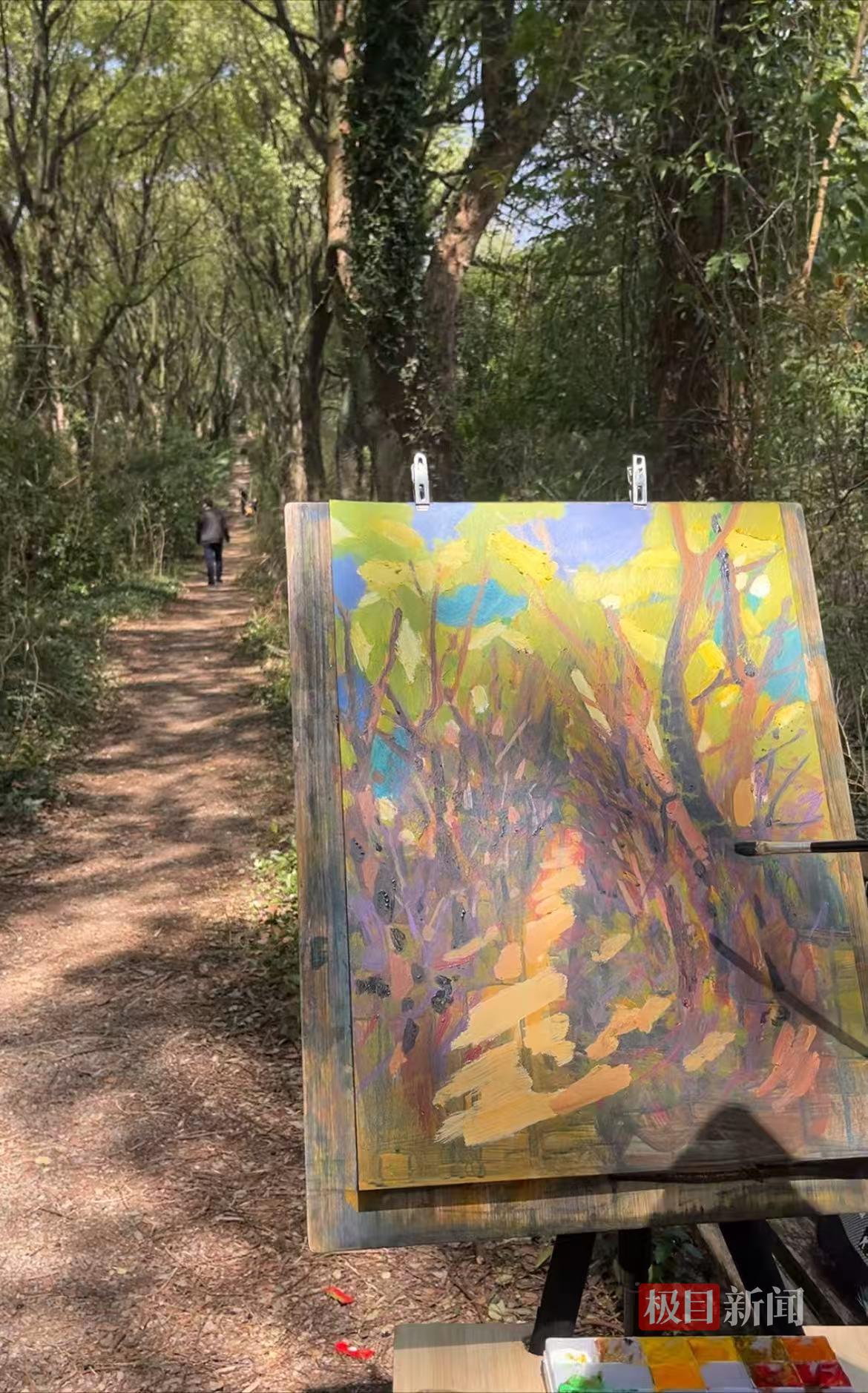 南昌一处林间小路成新晋网红打卡地，被称为现实版的“绿野仙踪”