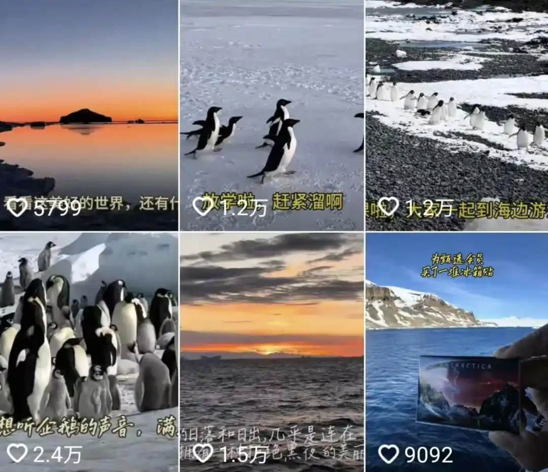 “船票8万的豪华邮轮弄丢行李，拒赔还恐吓游客”，该被315打假的南极游成了中产噩梦？