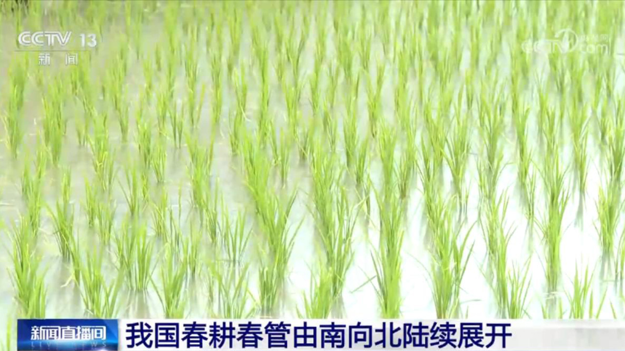 新春旅游市场火热、服务消费快速增长 勾勒中国经济活力新图景