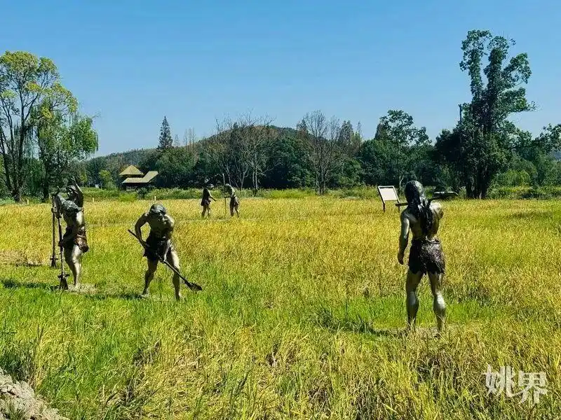 30元/人次！河姆渡考古遗址公园门票试行价格确定