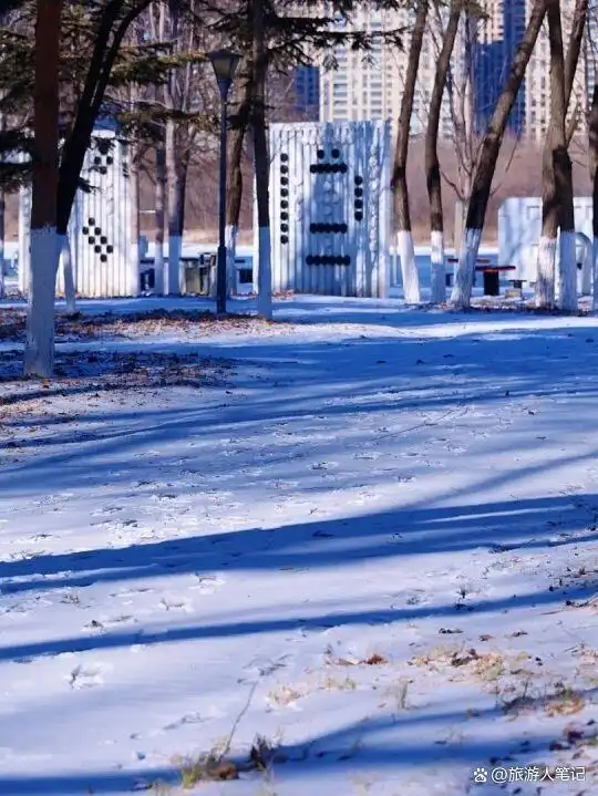 春游沈阳,踏青8大去处,不管你去哪一个,都能撞见沈阳春天最动人的样子